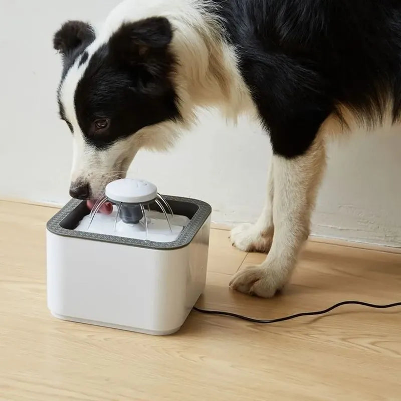 Fuente de Agua para Mascota 2.5 L